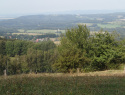 P8313801.JPG