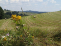 P7213638.JPG