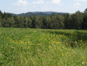 P7213634.JPG