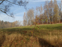 PB094229.JPG