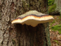 PB174381.JPG