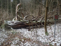 PC214513.JPG