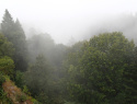P8183842.JPG