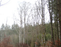 PC214494.JPG
