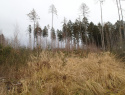 PC214481.JPG