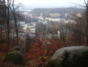 P2103068.JPG