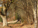 PB094230.JPG