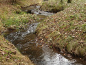 PB174379.JPG