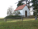 P8313799.JPG