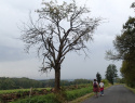 P8183818.JPG