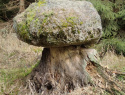 PB094256.JPG