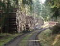 PB094245.JPG
