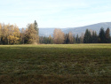 PB094231.JPG