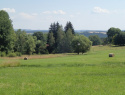 P7213630.JPG