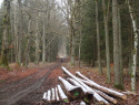PC214498.JPG