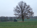 PB174368.JPG